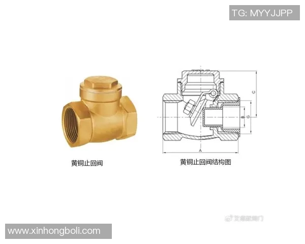 水管阀门选择与维护技巧解析,确保家庭用水安全与节能高效运行 水管阀门选择与维护技巧解析,确保家庭用水安全与节能高效运行